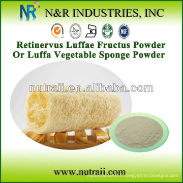 Poudre Luffa Naturel de Luffa Sponge